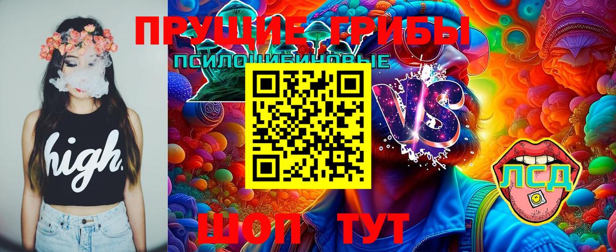 Псилоцибиновые грибы Magic Shrooms  Вход с VPN  Кудымкар 